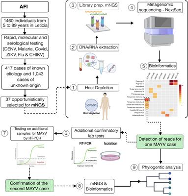 Mayaro Virus as the cause of Acute Febrile Illness in the Colombian Amazon Basin